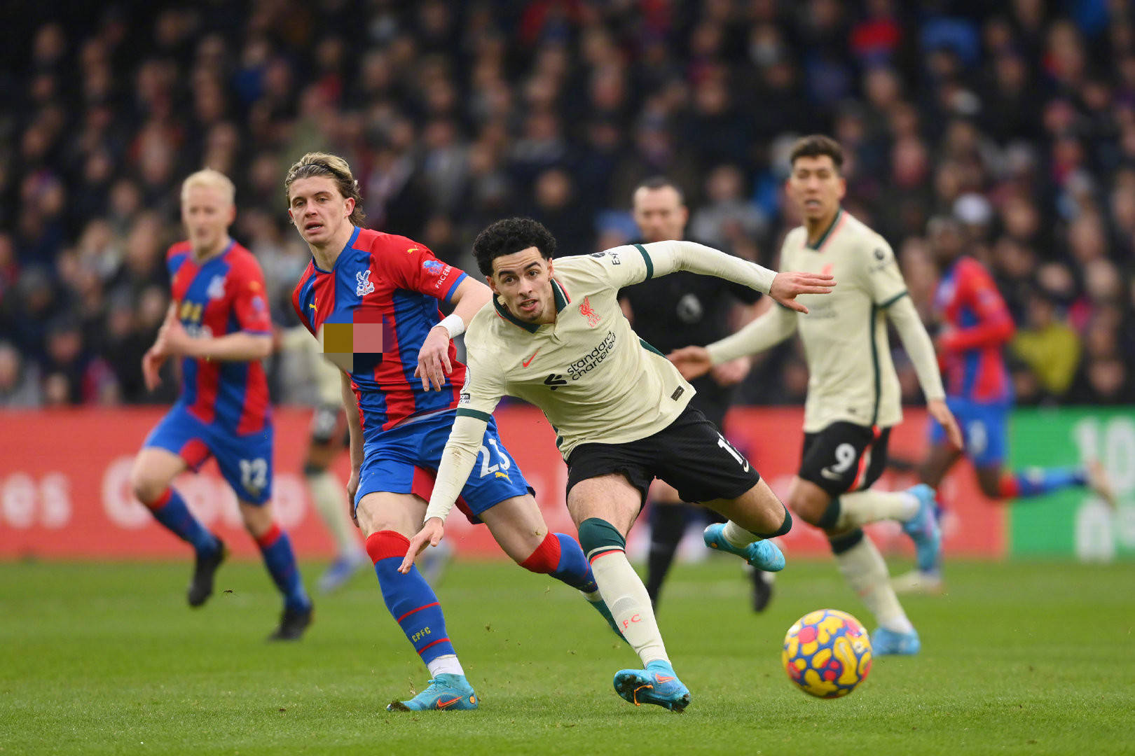 巴塞罗那的 巴塞罗那的